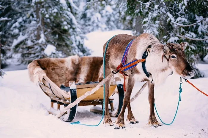Suomen parhaimmat kaupungit voivat olla myös talvisen tyylikkäitä.